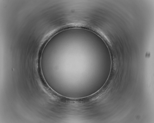 X0000091580486200709051103