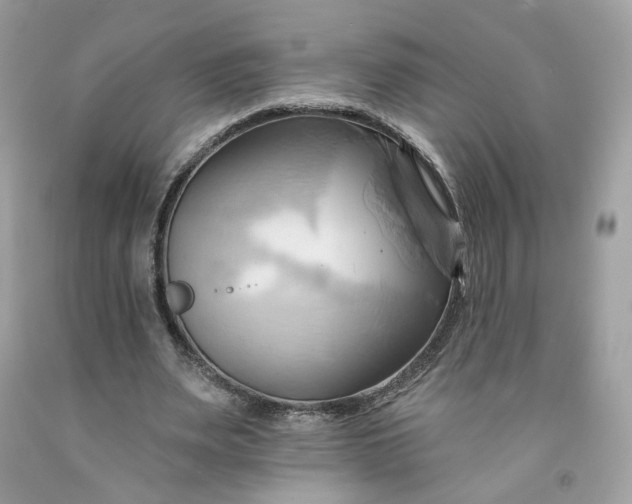 X0000091580487200709051103