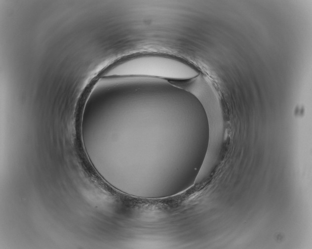 X0000091580488200709051103