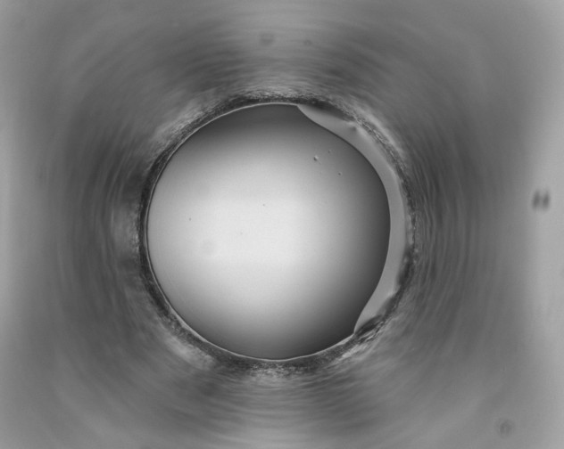 X0000091580489200709051103