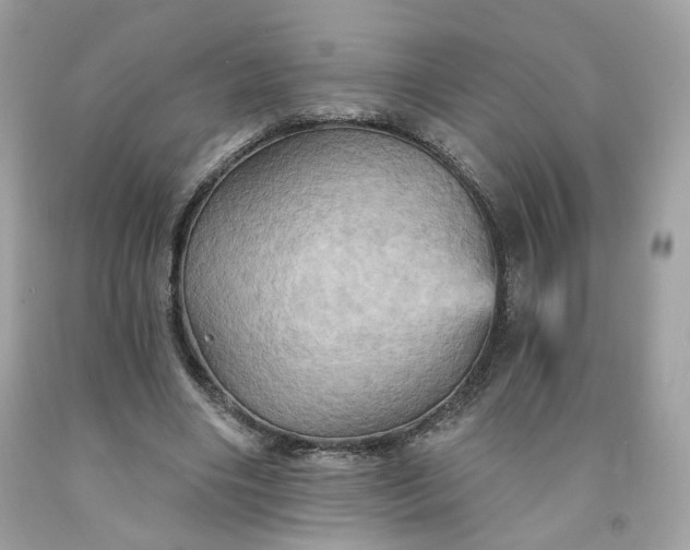 X0000091580490200709051103