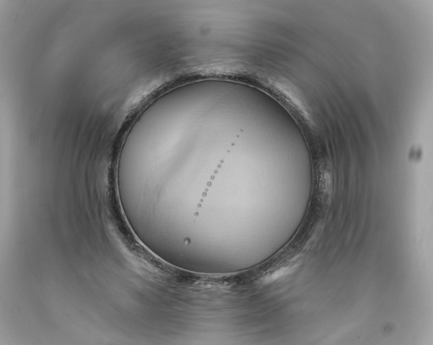 X0000091580491200709051103