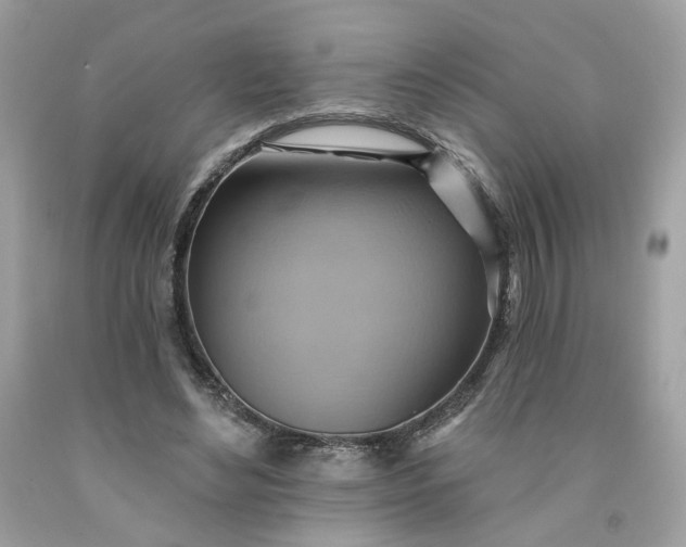 X0000091580492200709051103