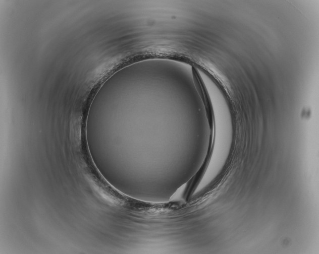 X0000091580493200709051103