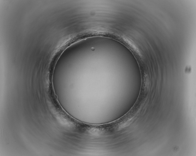 X0000091580494200709051103