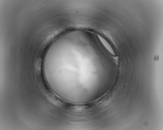 X0000091580495200709051103