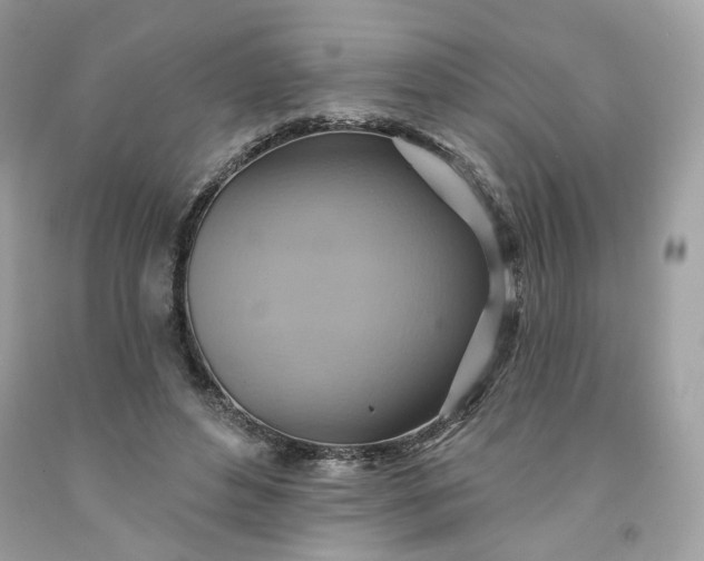 X0000091580496200709051103