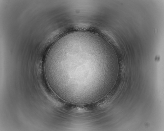 X0000091580498200709051103