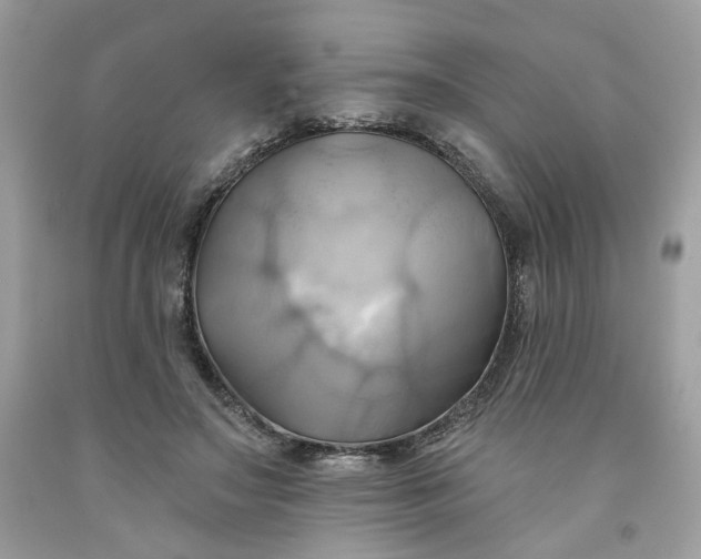 X0000091580499200709051103