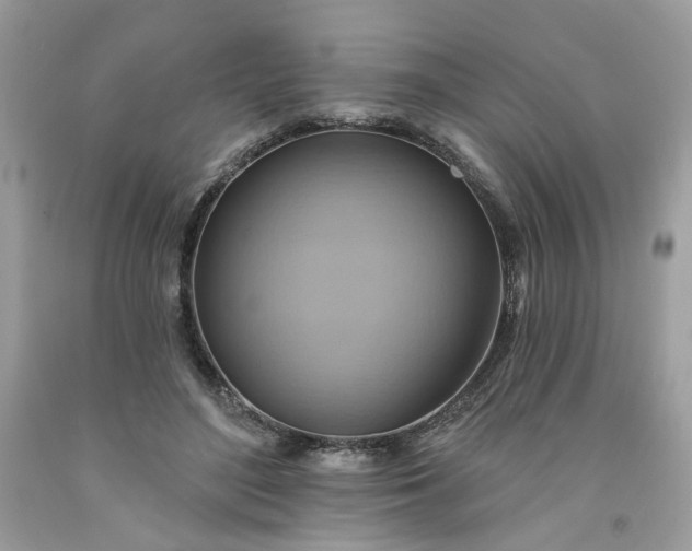 X0000091580500200709051103