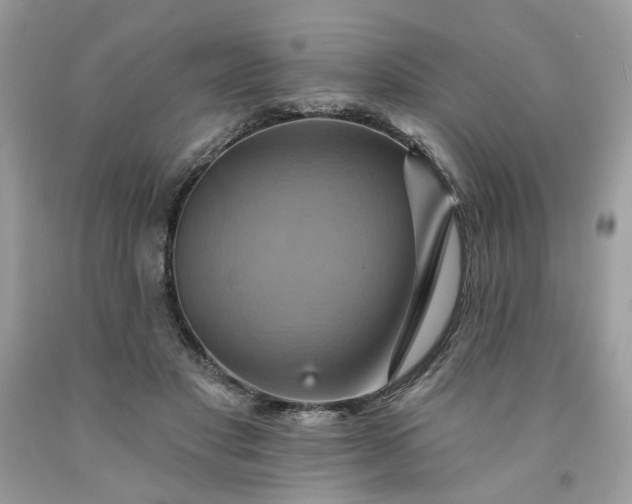 X0000091580501200709051103