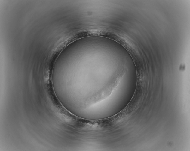 X0000091580502200709051103