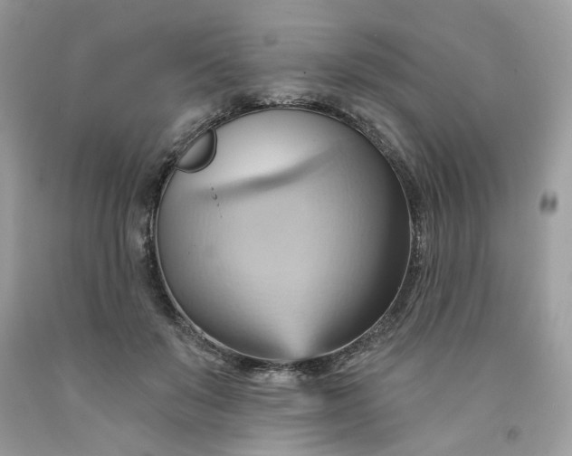 X0000091580503200709051103