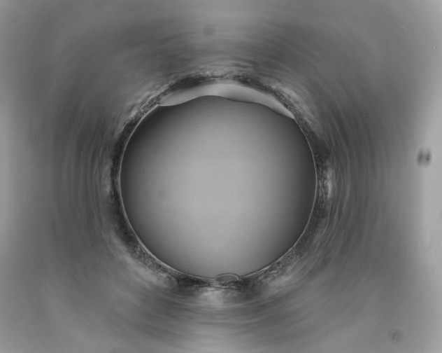 X0000091580504200709051103