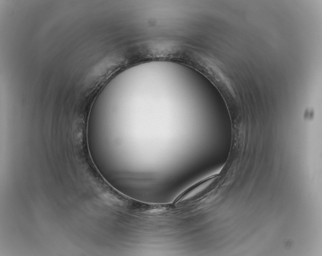 X0000091580505200709051103