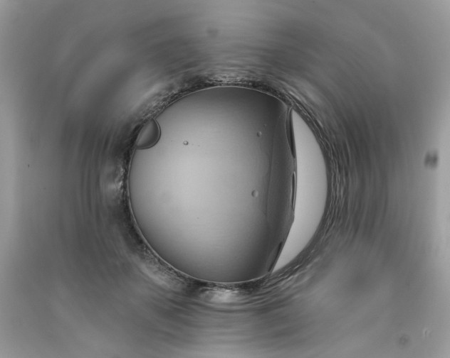 X0000091580507200709051103