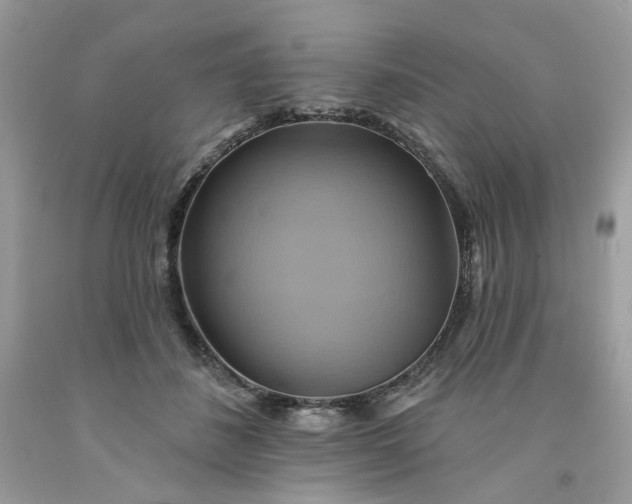 X0000091580508200709051103