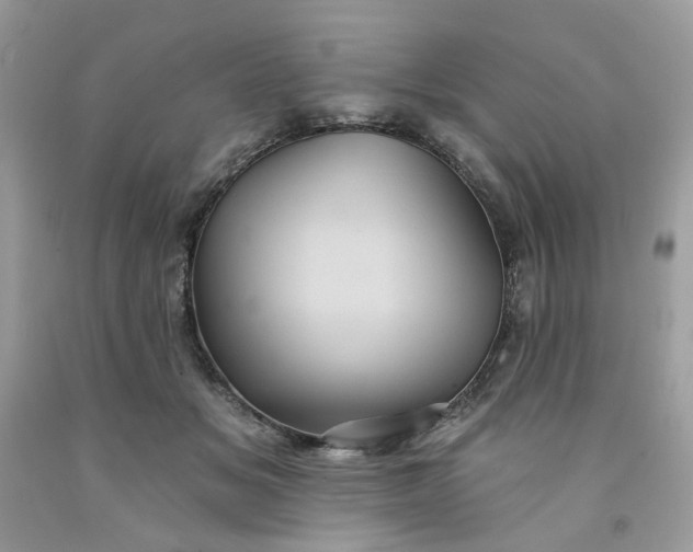 X0000091580509200709051103