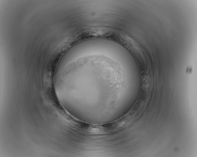 X0000091580510200709051103