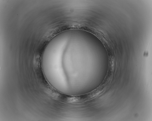 X0000091580511200709051103