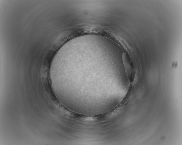 X0000091580513200709051103