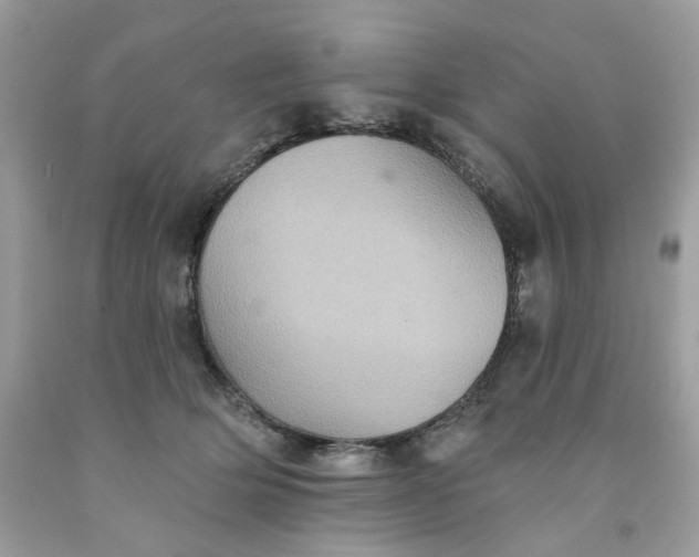 X0000091580514200709051103