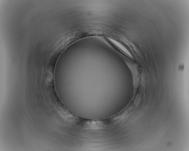 X0000091580517200709051103