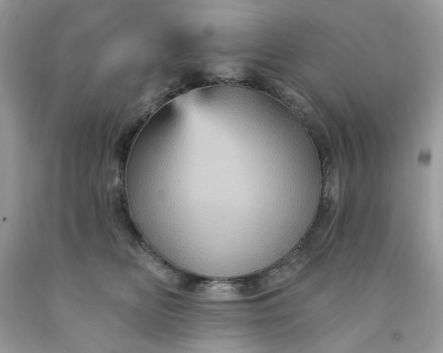 X0000091580518200709051103