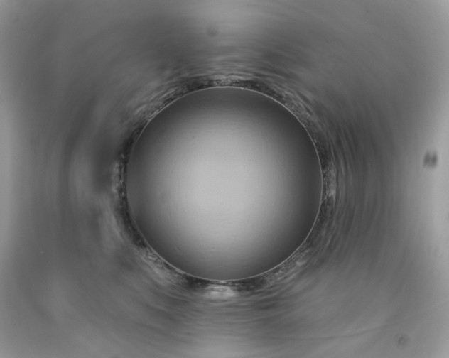 X0000091580519200709051103