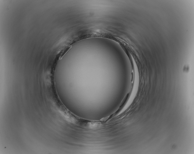 X0000091580520200709051103