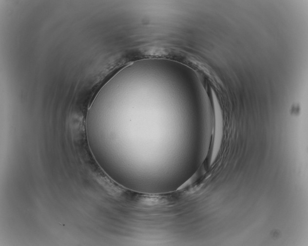 X0000091580521200709051103