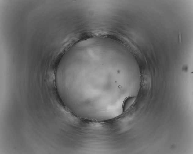 X0000091580523200709051103