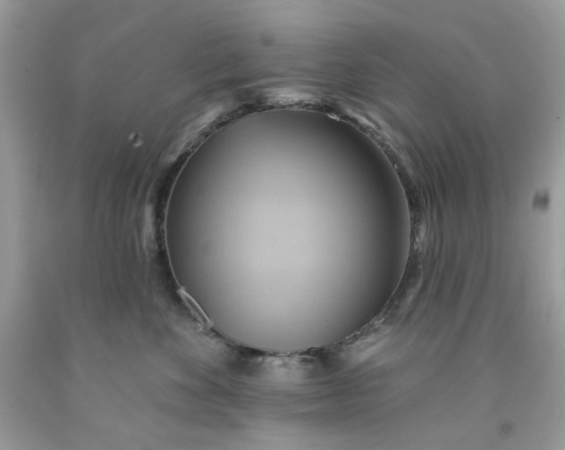 X0000091580524200709051103