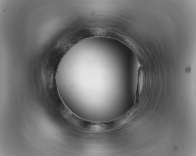 X0000091580525200709051103