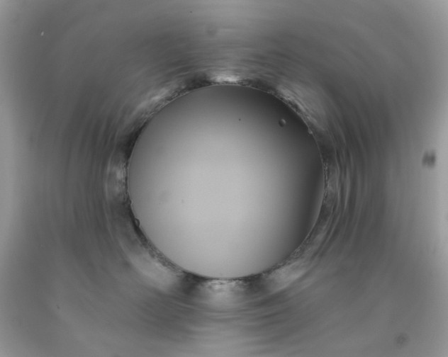 X0000091580526200709051103