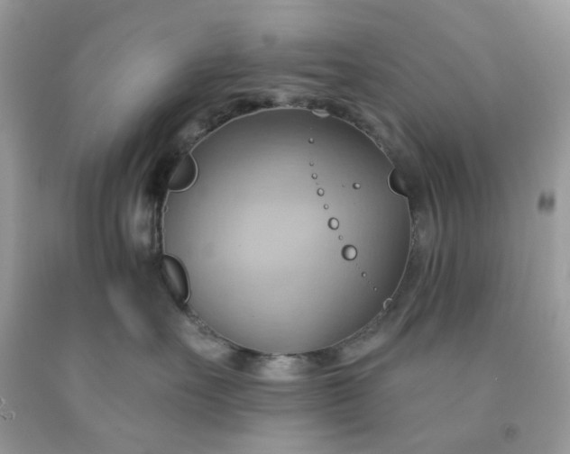 X0000091580527200709051103