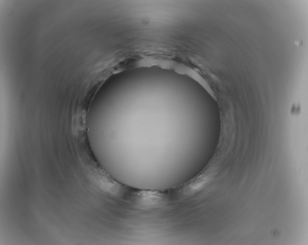 X0000091580528200709051103