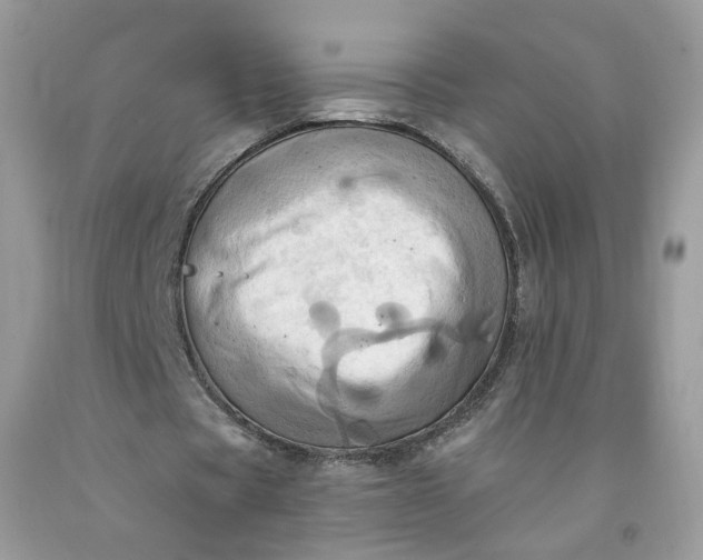 X0000091580529200709051102