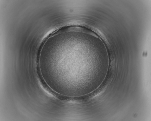 X0000091580530200709051102