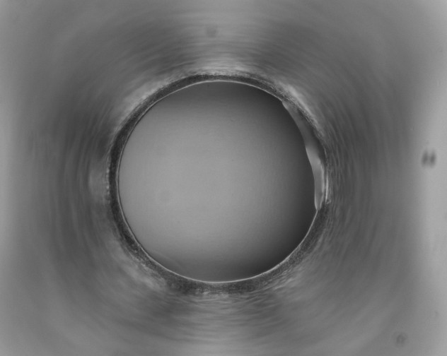 X0000091580531200709051102