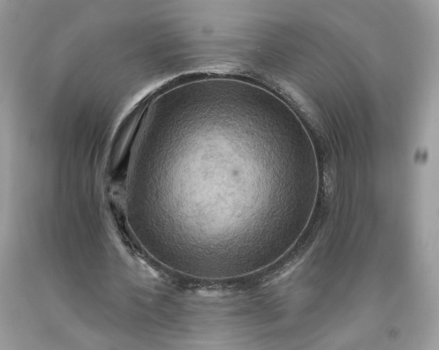 X0000091580532200709051102