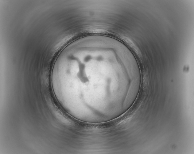 X0000091580533200709051102