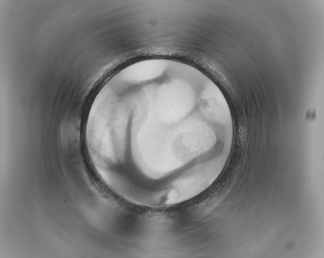 X0000091580534200709051102