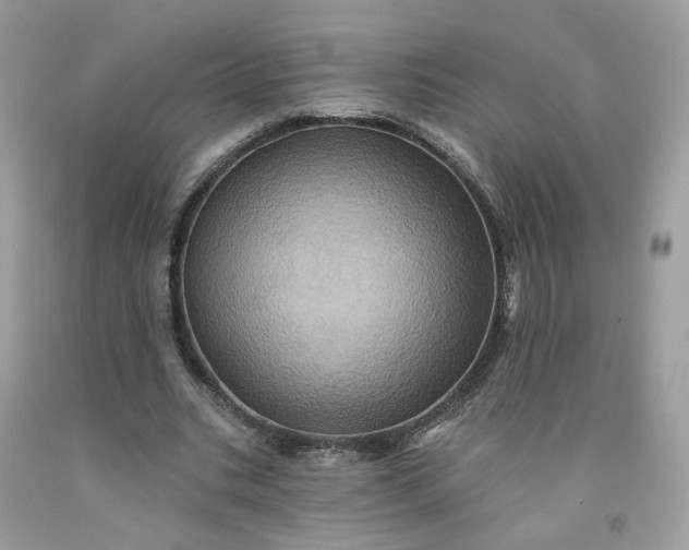 X0000091580535200709051102