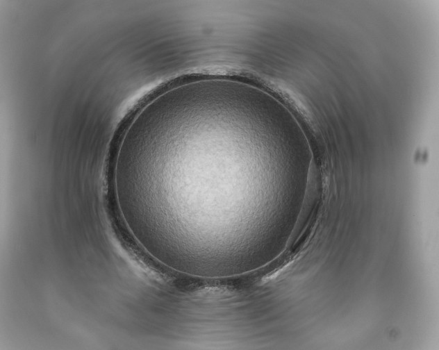 X0000091580536200709051102