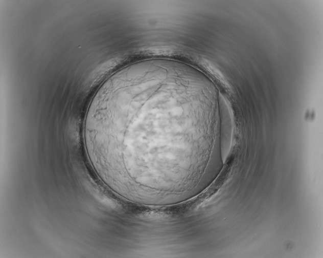 X0000091580537200709051102