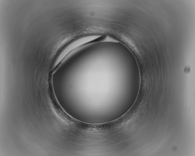 X0000091580538200709051102