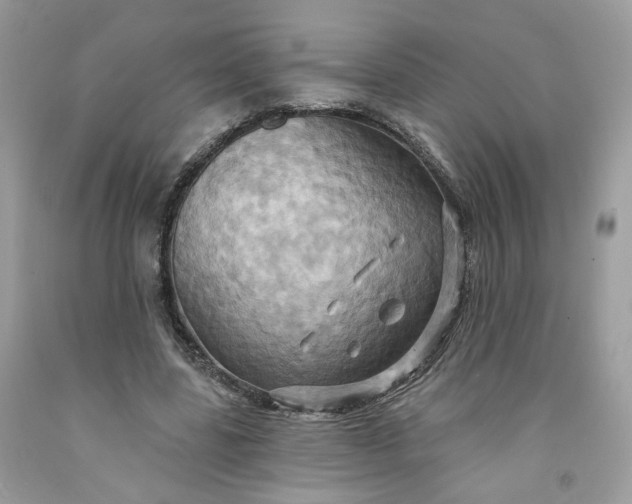 X0000091580539200709051102