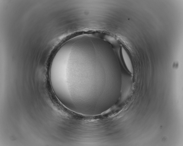 X0000091580540200709051102