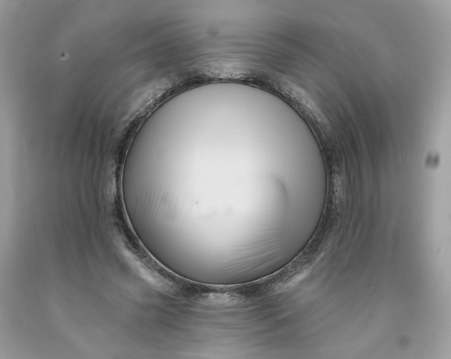 X0000091580541200709051102